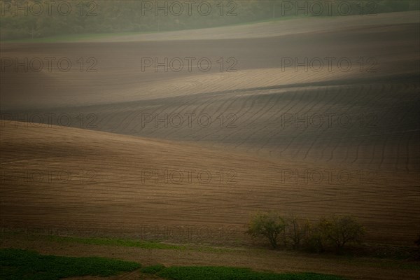 Beautiful brown Czech Moravian fields at autumn