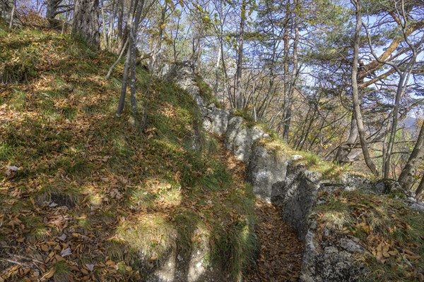 World War I fortification at Doss Corno