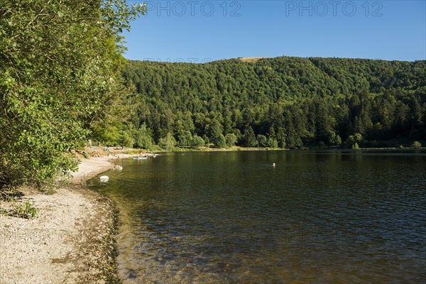 Mountain lake in summer