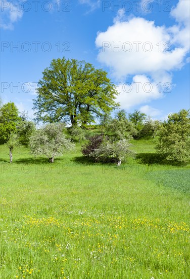 Cultural landscape