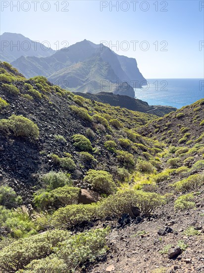 Hiking trail above Puerto de la Aldea