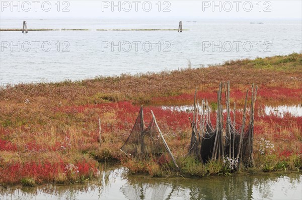 Fishing nets at Lio Piccolo in the eastern lagoon of Venice in autumn