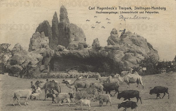 Hay feeder enclosure and lion gorge in Hagenbeck Zoo