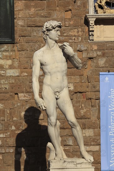 A replica of David