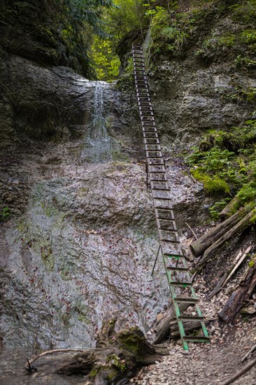 Difficul trail with ladder near the waterfall in canyon of National park Slovak paradise