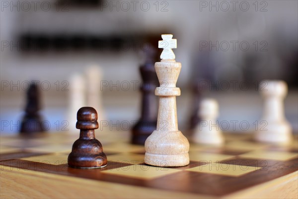 Chess board game with focus on white queen pieces on blurry background