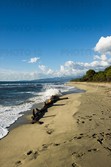 Lonely wild beach