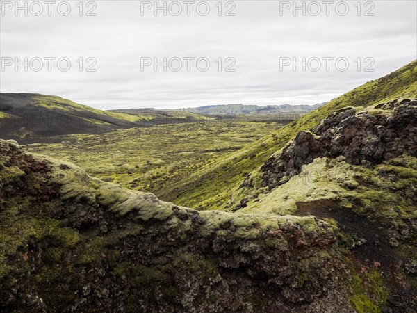 Moss-covered volcanic landscape