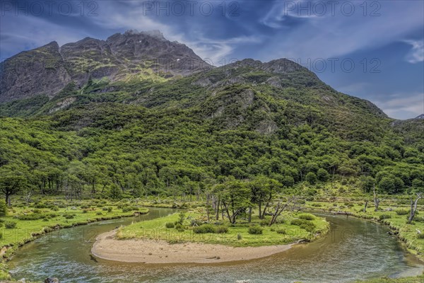 Moor and Forest and Mountain Landscape Ushuaia Argentina