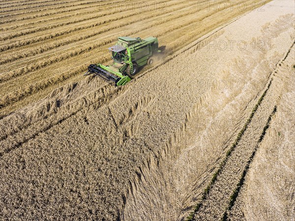 Grain harvest