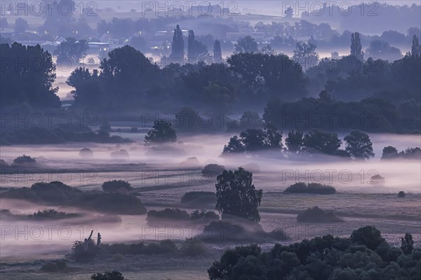 Morning atmosphere with autumn fog at Lake Constance