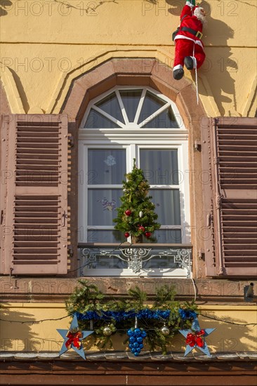 Christmas decorated window