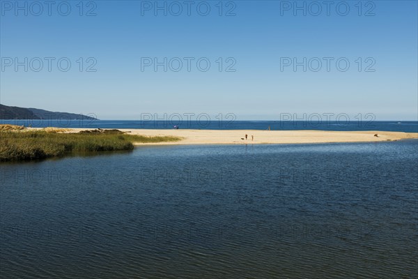 Sandy beach beach