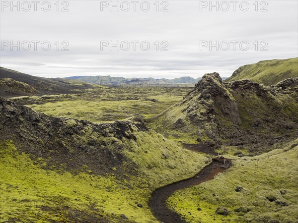 Moss-covered volcanic landscape