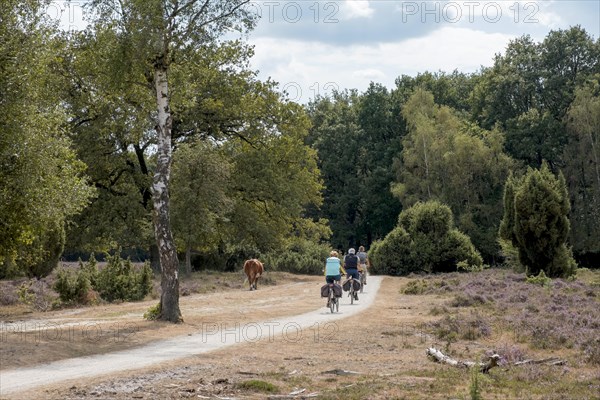 Buurserzand Nature Reserve