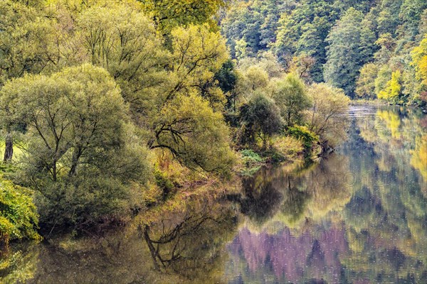 The River Sieg in Windecker Laendchen