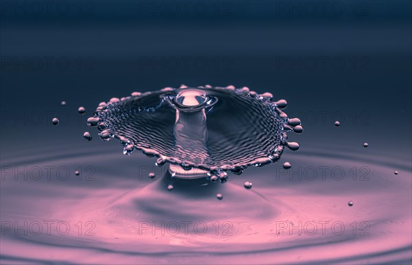 Macro Photography Water Drops