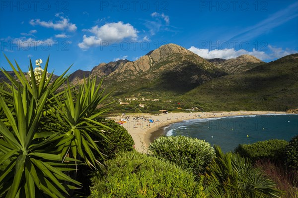 Sandy beach beach and mountains