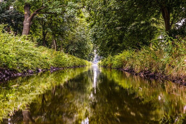 Deluss Erft near Gymnich