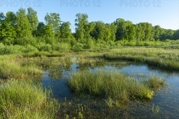 Moorland landscape