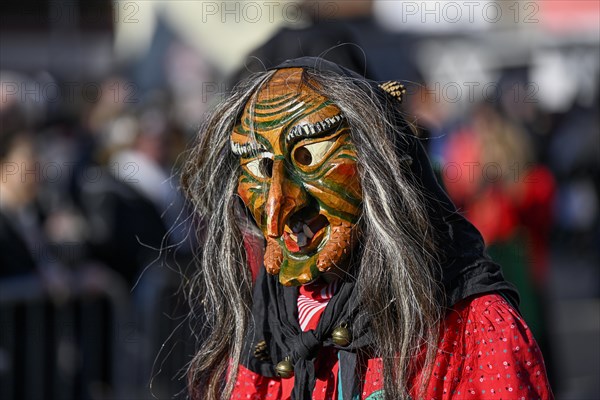 Narrenzunft Moorwaldhexen from Oedsbach at the big carnival procession