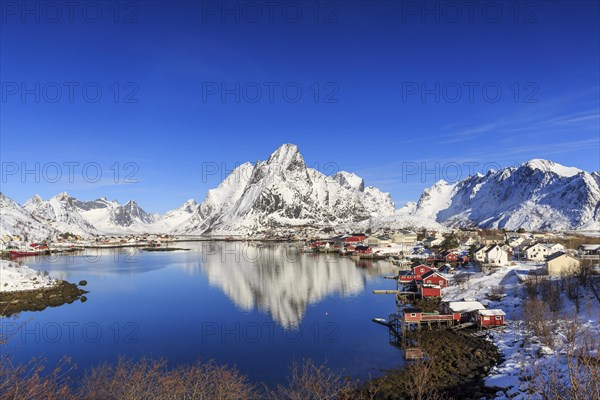 Village view Reine