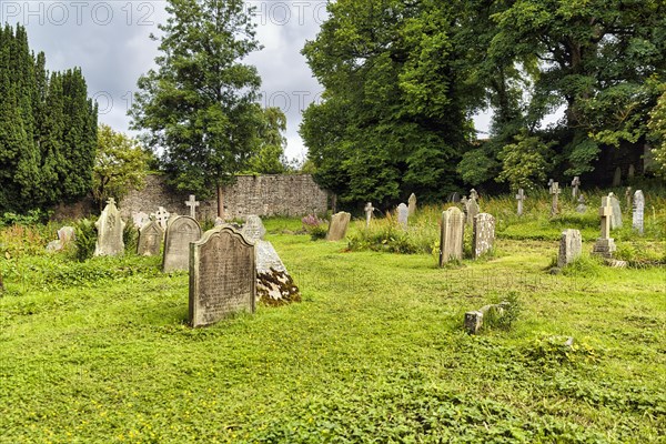 Old gravestones in a meadow