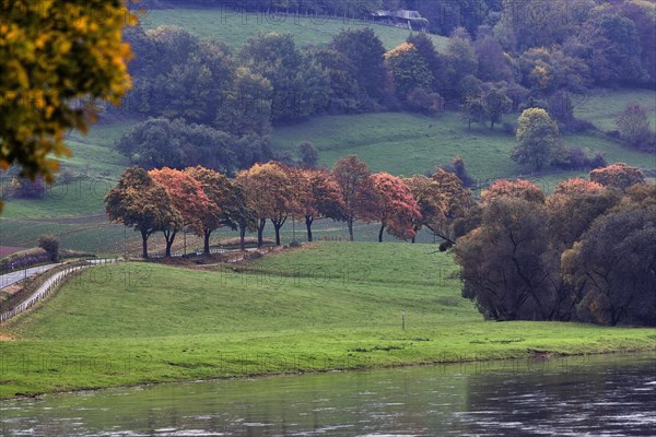 Autumn landscape on the Weser