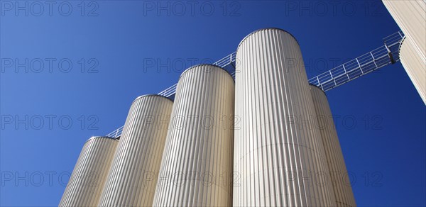 Beer storage tanks of a brewery