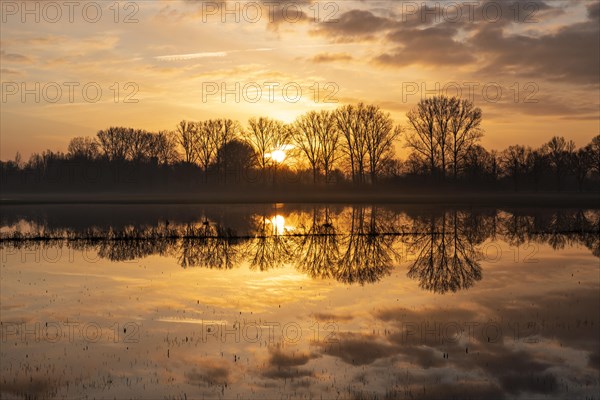 Flooding of the Lippe floodplains at sunrise in the Klostermersch nature reserve