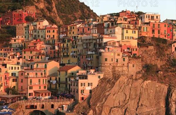 Manarola in the evening light