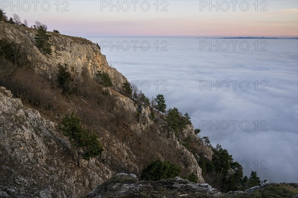 Sunset with fog