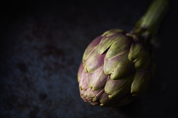 Artichoke