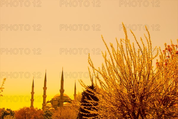 Minaret of an Ottoman style mosque Mosques in view