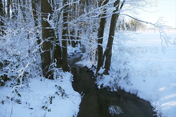 Stream in winter