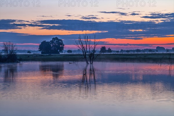 Sunrise in the Bislicher Insel nature reserve on the Lower Rhine near Xanten