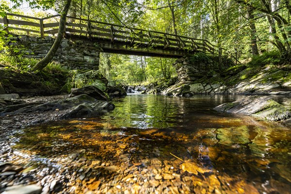 The upper reaches of the Rur with bridge