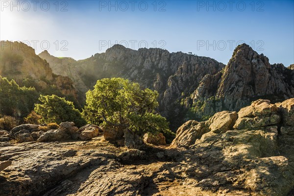 Red granite rocks