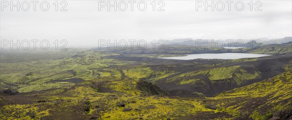 Moss-covered volcanic landscape