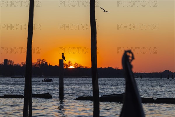 Sunrise at the Canale della Giudecca