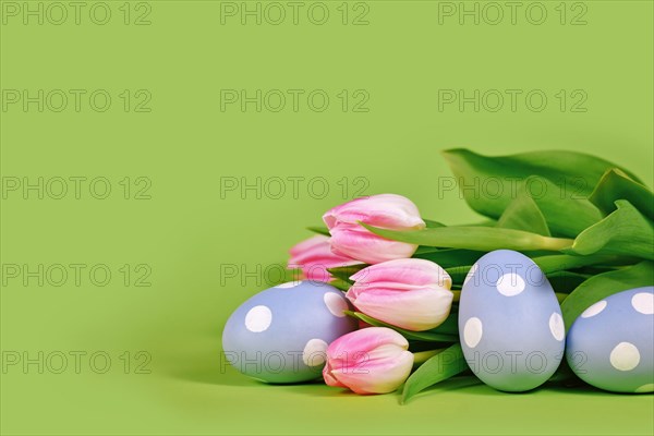 Tulip flowers and painted blue Easter eggs on green background with copy space