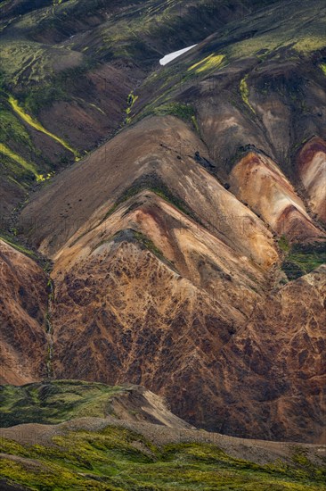 Colourful moss-covered rhyolite mountains