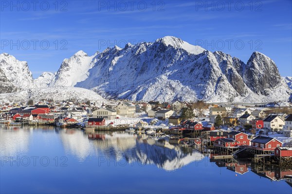 Village view Reine