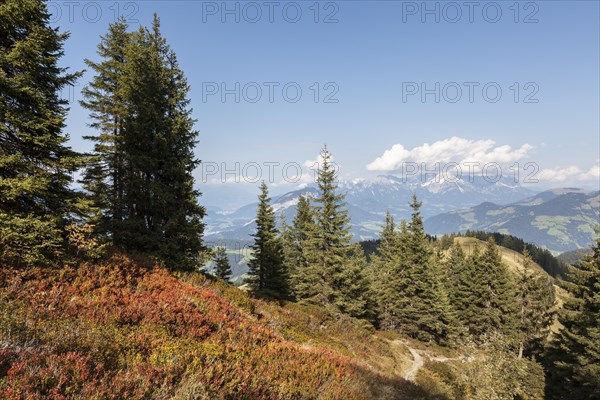 Kitzbuehel Alps