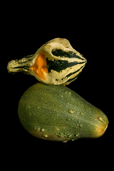 Colorful pumpkin on a black background. In studio