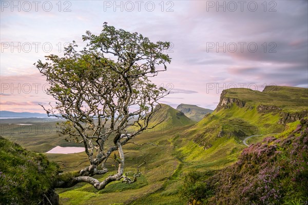 View of rocky landscape Quiraing at sunrise