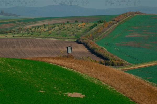 Moravian landscapes of wavy fields with a wealth of colors. Czech republic