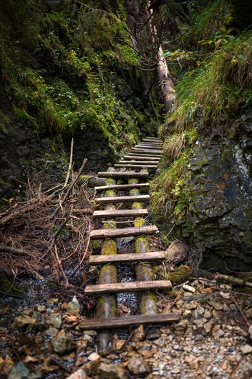 Wooden ladders over the stream in the gorges of the Slovak Paradise. Slovakia