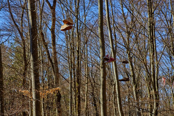 Pairs of shoes hanging from a rope in the forest in springtime