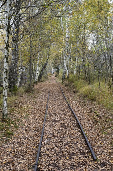 Autumn in the Kendlmuehlfilzen high moor